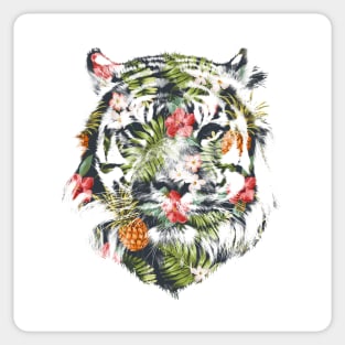 Tropical Tiger Final Sticker